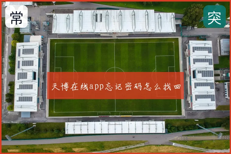 天博在线app忘记密码怎么找回