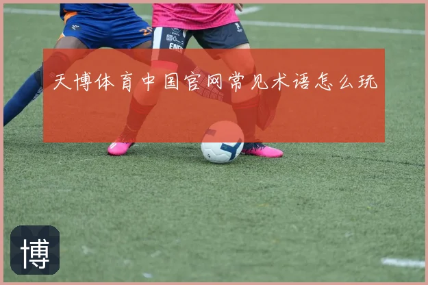 天博体育中国官网常见术语怎么玩